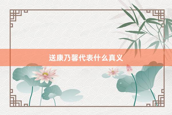 送康乃馨代表什么真义